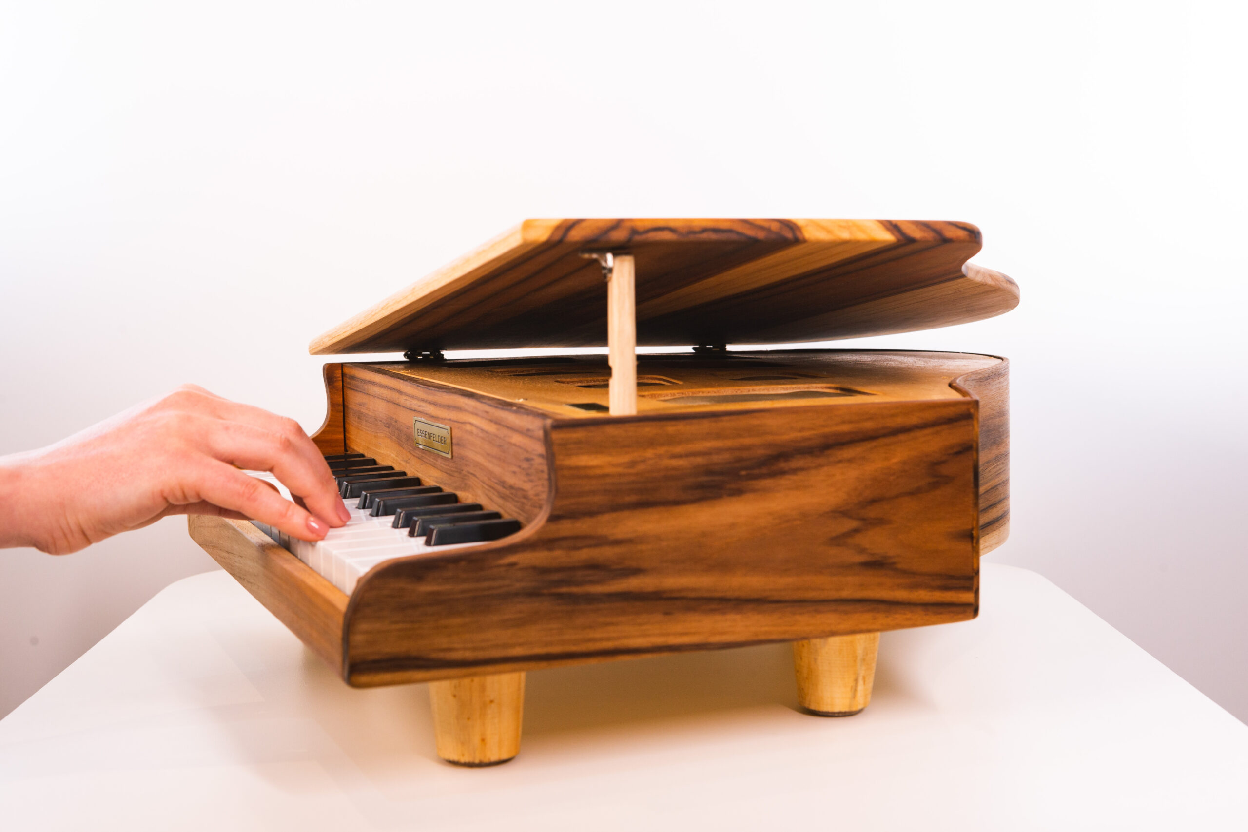 Detalhes do mecanismo do Mini Piano Essenfelder EM58
