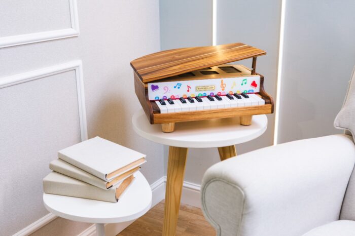 Mini Piano EM58