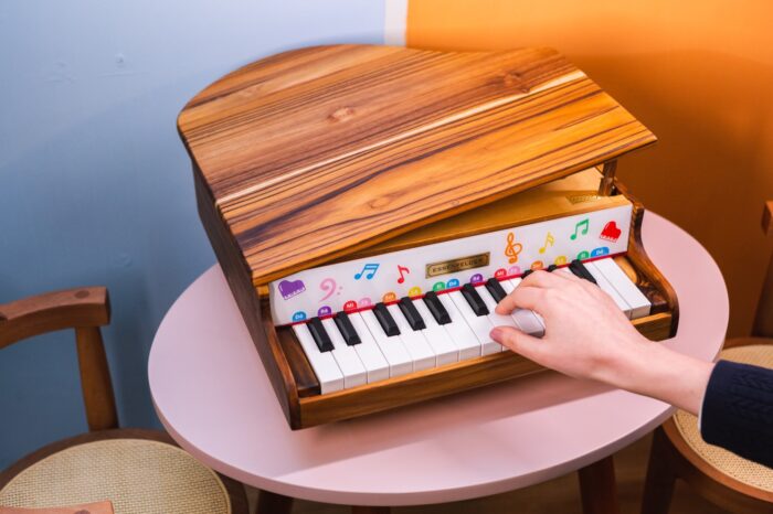 Mini Piano EM58